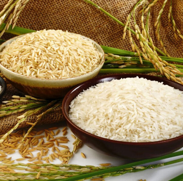 Rao Jawed Rice Factory About Us – Sri Jayalakshmi Rice Industries